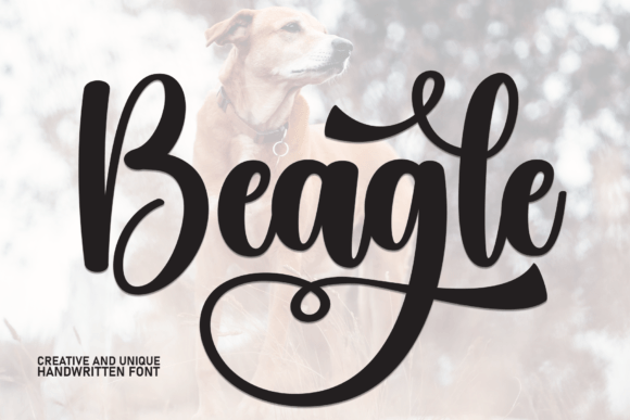 Beagle Font: A Creative Typeface for Your Brand