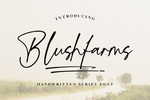 Blushfarms: A Versatile Font for Small Business Branding