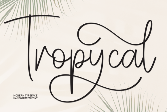 Tropycal Font Review: Elevating Campaign Visuals with Style